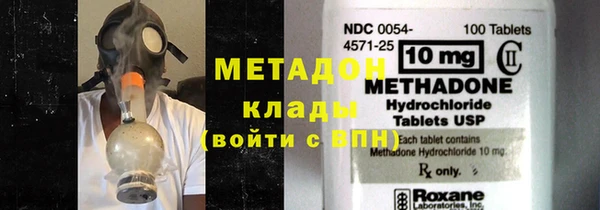 стаф Алзамай