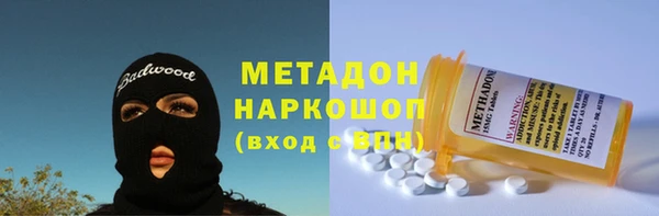 стаф Алзамай