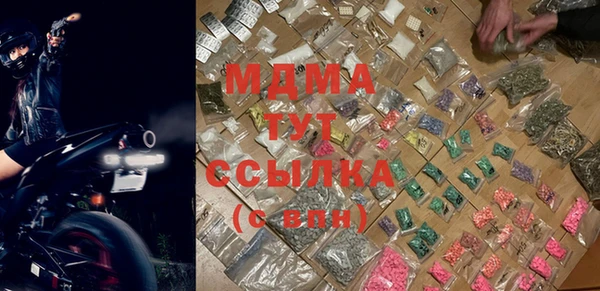 стаф Алзамай