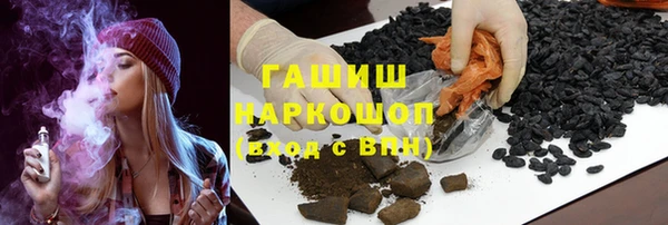 стаф Алзамай