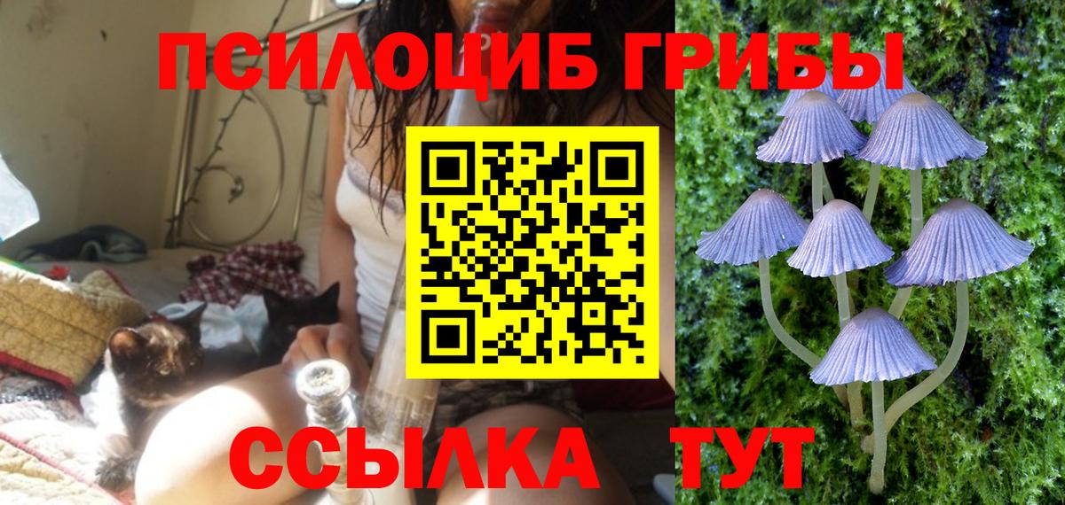 закладки  Галлюциногенные грибы мицелий  Вход с VPN  Тула  Галлюциногенные грибы Psilocybe 