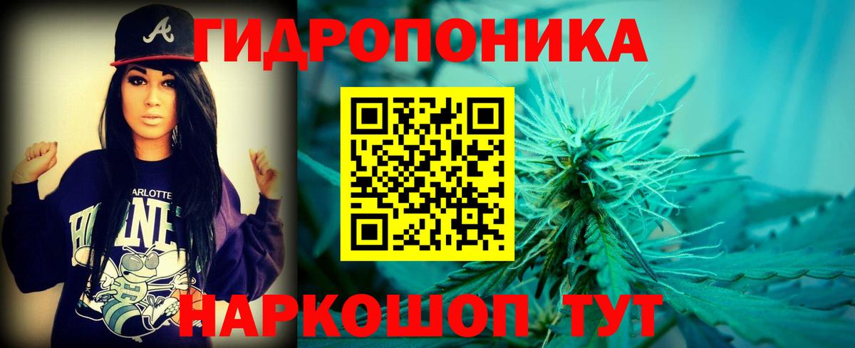 Конопля индика Тула